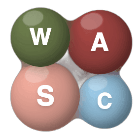 luluTI WASC type bubble illustration